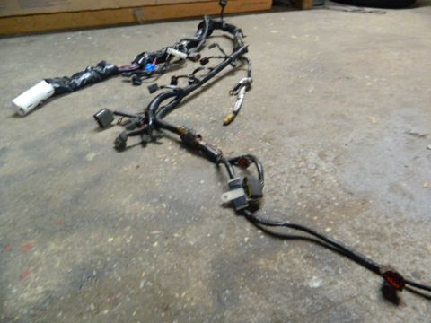 1995 Honda Civic - An engine wiring harness is laid out on a concrete floor, showing its complex network of wires and connectors.