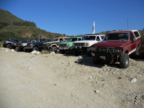 1986 Ford Bronco - A group of Ford Broncos are lined up on a dusty, outdoor lot under a clear blue sky.