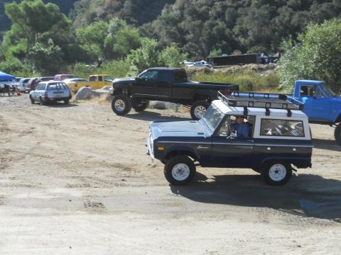 1986 Ford Bronco - A dark blue 1986 Ford Bronco with a white roof and roof rack is parked outdoors with other vehicles.