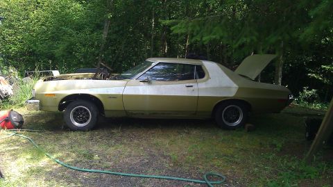 1973 Ford Torino