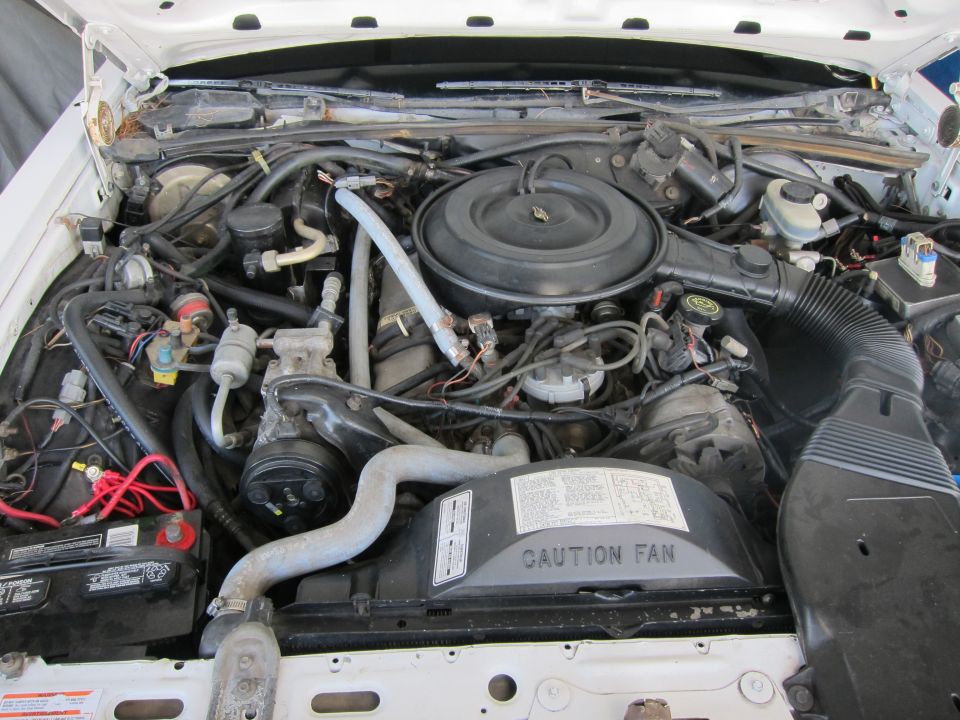 Engine bay with "CAUTION FAN" label visible
