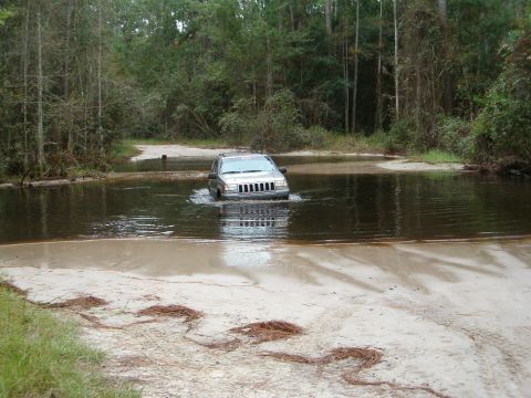 1991 Ford Bronco - A Jeep Grand Cherokee navigates a water obstacle on a dirt path surrounded by trees.