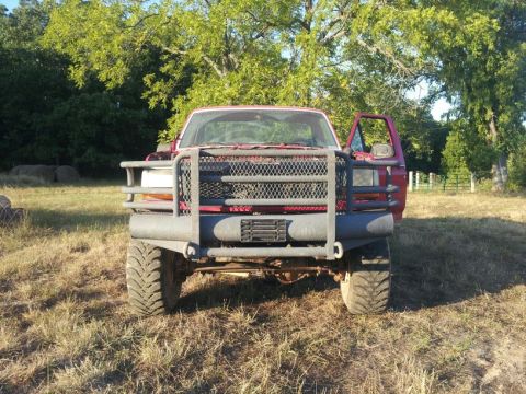 1995 Ford F-150 - This 1995 Ford F-150 is shown from the front, a prominent brush guard and an open driver's side door.