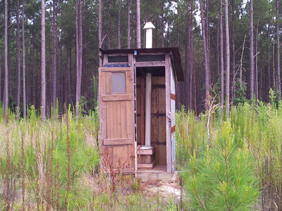 Wooden outhouse with chimney in a forest clearing
