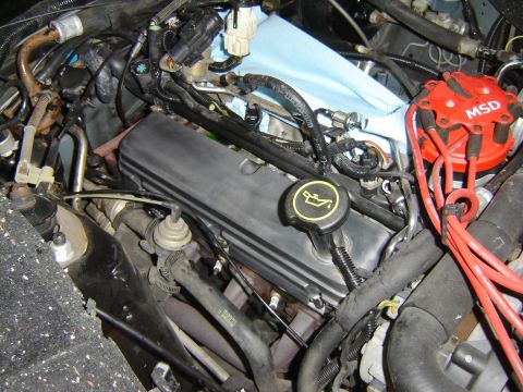 1984 Ford Mustang - Close-up view of an engine bay, highlighting the MSD distributor and various engine components.