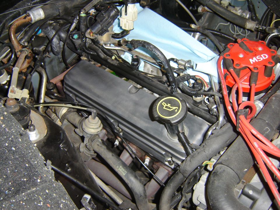 Engine bay showing valve cover, oil cap, spark plug wires, and MSD distributor