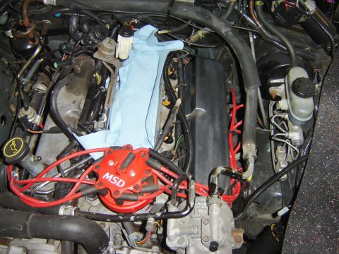 1984 Ford Mustang - Close-up view of an engine bay, highlighting an MSD ignition distributor and associated wiring.