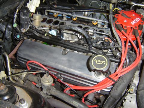 1984 Ford Mustang - Close-up of an engine bay, an MSD ignition distributor and red spark plug wires.