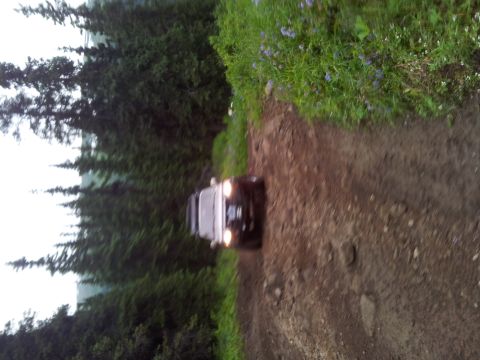 1990 Chevrolet Suburban - A dark SUV navigates a rough dirt road surrounded by dense forest and greenery.