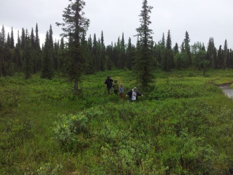 1990 Chevrolet Suburban - People hiking through a natural landscape with dense forest and overcast skies.
