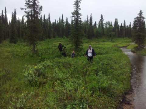 1990 Chevrolet Suburban - A group traverses a waterlogged meadow bordered by a forest and a small stream under an overcast sky.
