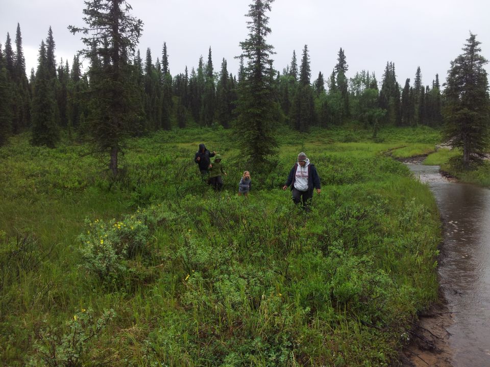 Four people and a dog walk through a wet, grassy field with a stream on the right and dense trees in the background
