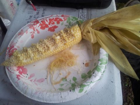 1990 Chevrolet Suburban - A partially eaten ear of corn sits on a floral paper plate, with its husk and silk still attached.