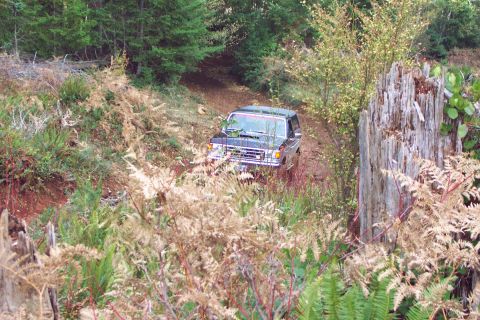 1996 Ford Bronco - Tim heading up Powerline Hill. (11/08/2003)