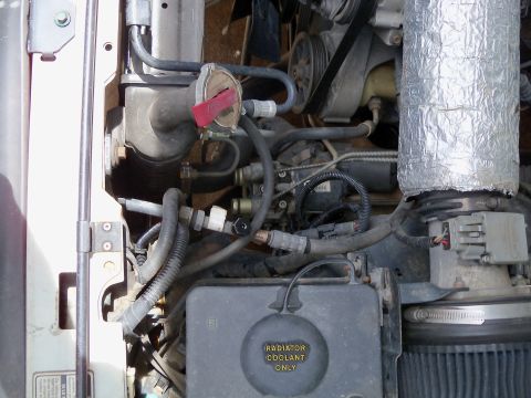 1995 Ford Bronco - Close-up view of engine components, including the radiator coolant reservoir and various hoses and belts.
