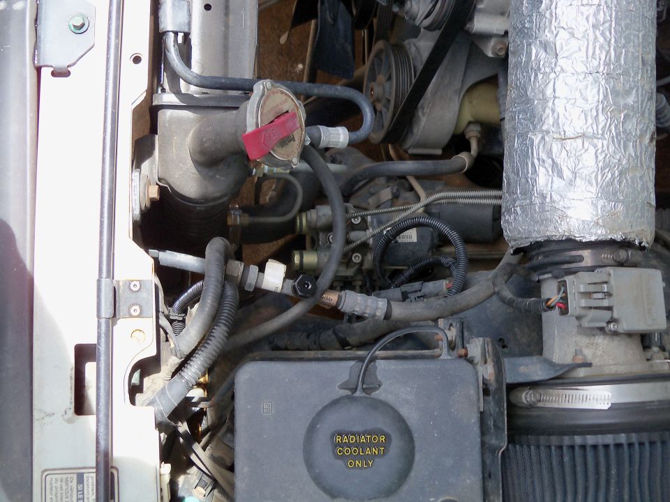 Engine bay with radiator coolant reservoir and hoses