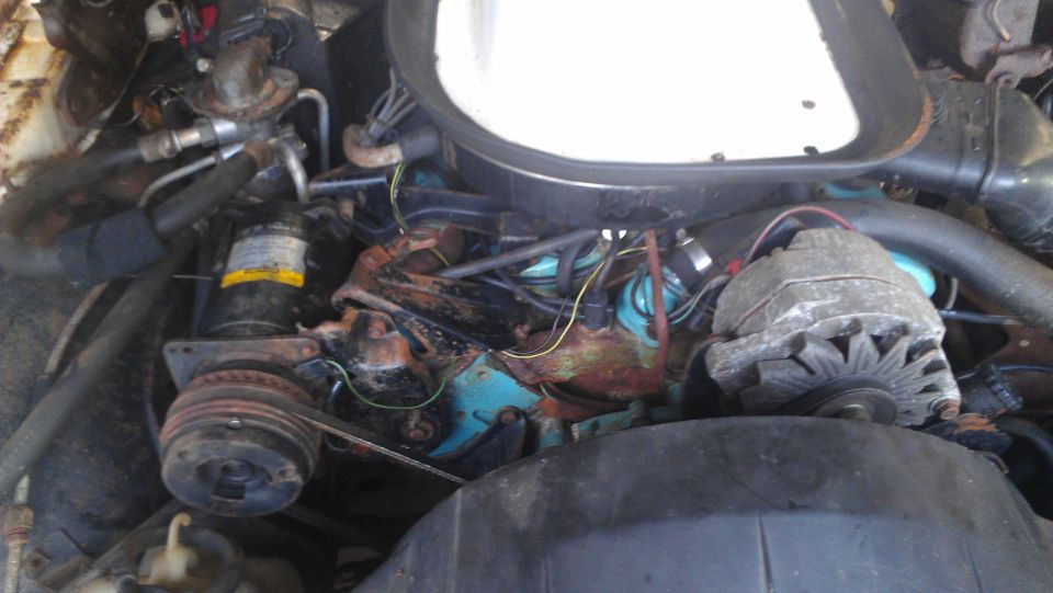 Engine bay with various hoses, wires, alternator, and engine block visible