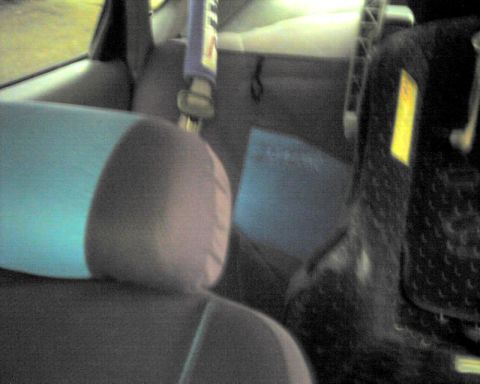1997 Ford Taurus - Interior view of a car's rear seating area, with a visible warning label on the side.