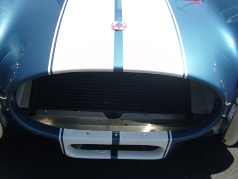 2007 Ford Mustang - Front view of a blue sports car with white racing stripes and a prominent grille.