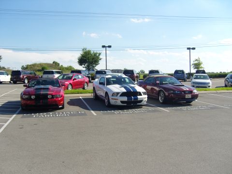 2007 Ford Mustang - Three Ford Mustangs are parked in a lot under a blue sky.