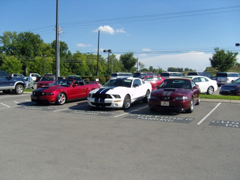 2007 Ford Mustang - Three Ford Mustangs are parked in customer parking spots on a sunny day.