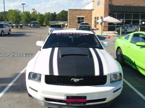2007 Ford Mustang - A white Ford Mustang with racing stripes is parked in a lot next to a green Mustang.