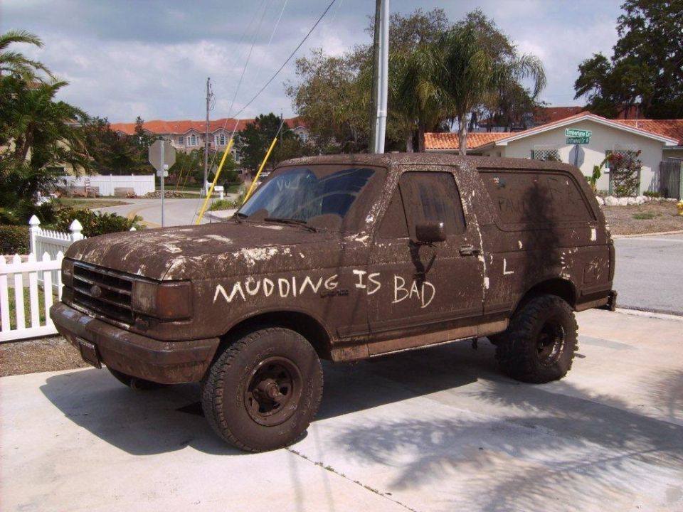 Now THAT was a fun day. Went to a place called Anclost cause its next to Anclote Power Plant
