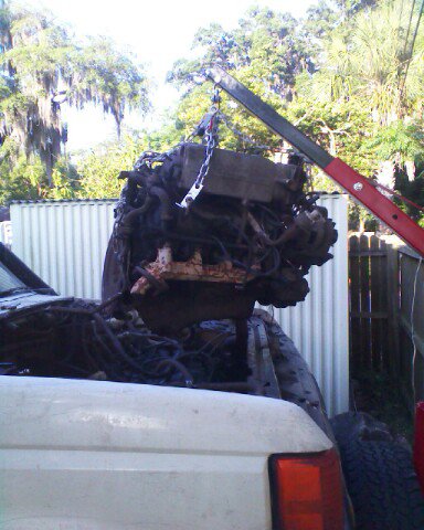 Work - 1988 Ford Bronco