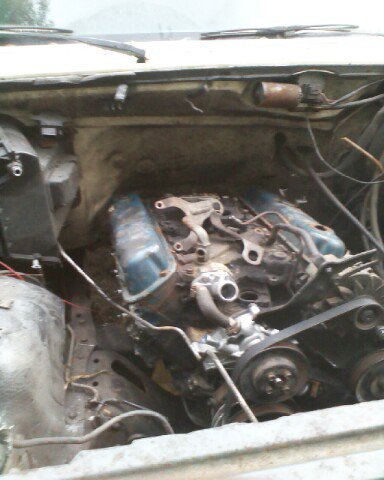 1988 Ford Bronco - The engine bay of a 1988 Ford Bronco reveals its V8 engine, complete with blue valve covers and a serpentine belt.