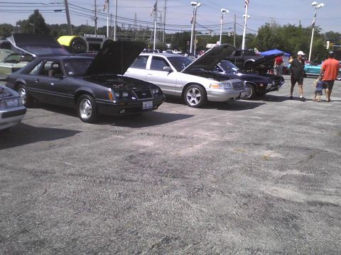 2003 Ford Crown Victoria - Several cars are parked in a lot with their hoods open, possibly at a car show.