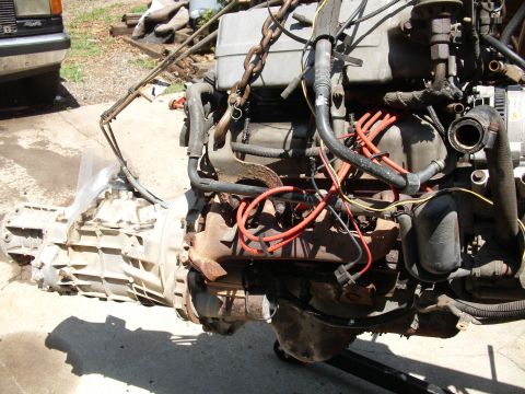1995 Ford Bronco - Engine and transmission assembly, likely removed from a vehicle, is shown with various hoses and wiring.
