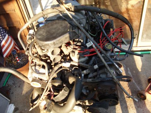 1995 Ford Bronco - This engine appears to be a Ford V8, likely removed from a vehicle for repair or replacement.
