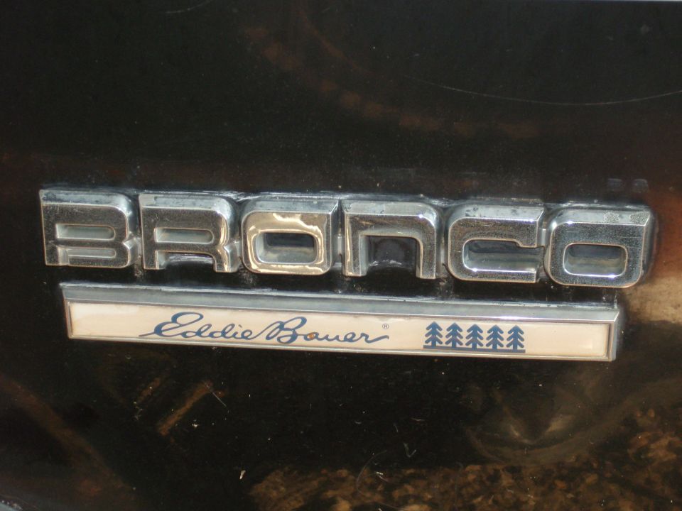 Bronco Eddie Bauer emblem with pine trees