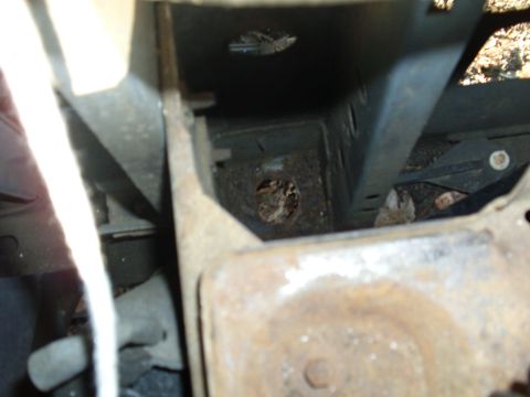 1988 Ford Bronco - As easy as it was to remove the front body mounts on the 95 (as they where so rusted they just fell out). The 88 was pretty much rust free,…