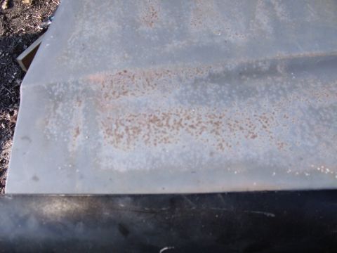1988 Ford Bronco - Just some slight surface rust, nothing a good bodyman can't fix but the original enamel paint had seen better days.