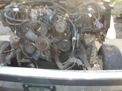 1988 Ford Bronco - Well this one will come out in the next few days. Turns out this 5.0 302 engine on the 88 is different. They used the original 302 cam on t…