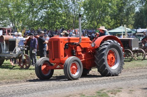 1959 Kenworth W900A “CC925”