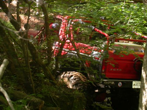 1990 Ford Bronco - A red Ford truck is partially obscured by trees and foliage, stuck in a wooded area.