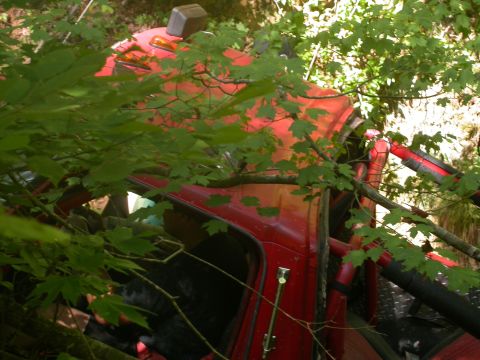 1990 Ford Bronco - Red off-road vehicle with roll cage is hidden by foliage.