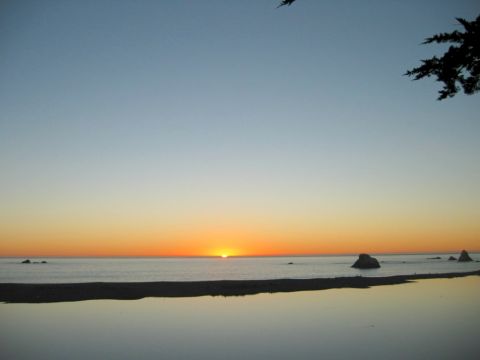 2002 Ford Taurus - A sunset over the ocean, with a bird flying in the distance and a tree branch silhouetted against the sky.