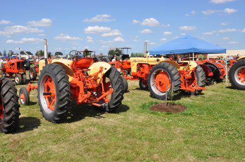 1959 Kenworth W900A “CC925”