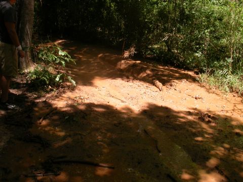 1990 Ford Bronco - A muddy trail winds through dense trees, with a person visible on the left side of the frame.