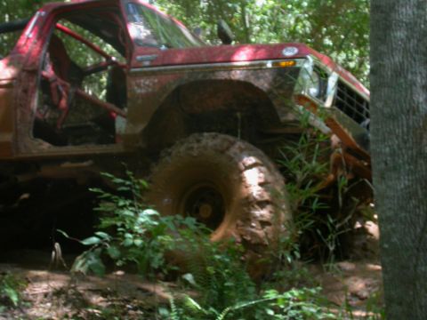 1990 Ford Bronco - Muddy red Ford Bronco with roll cage navigating a wooded trail.