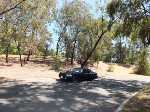 2003 Ford Crown Victoria - Distant view of a black sedan stopped on a shaded road among trees and dirt slopes