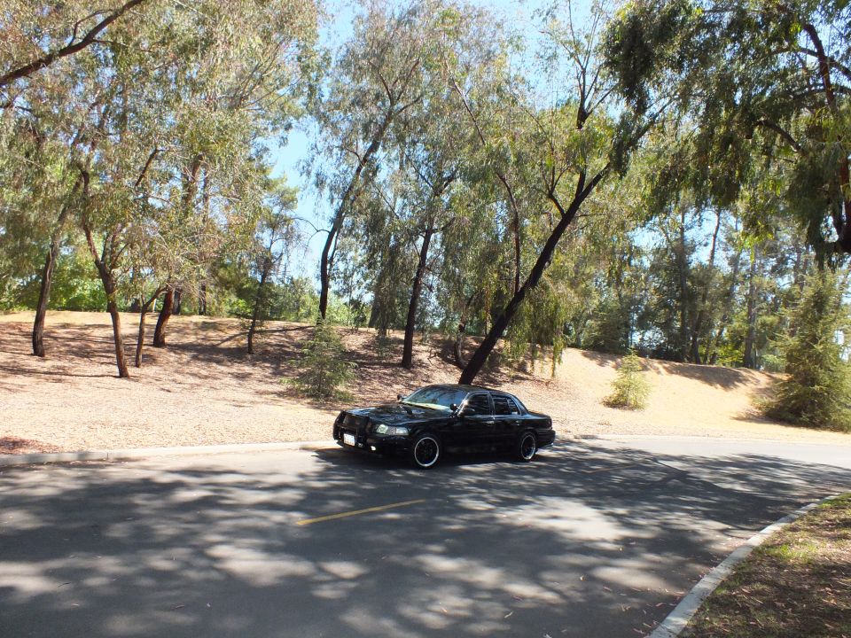 Black full-size sedan parked on a curving tree-lined road in a dry hilly park