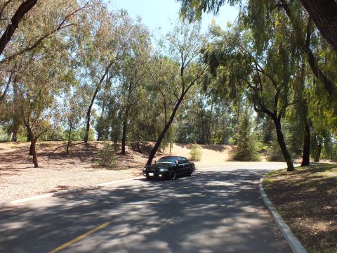 2003 Ford Crown Victoria - Front three-quarter view of a black sedan on a shaded curving park road