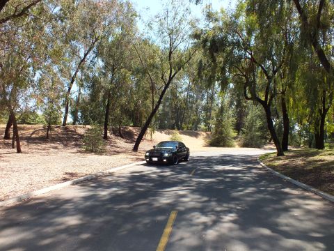 2003 Ford Crown Victoria - Black sedan parked at a road fork surrounded by pepper trees and dry banks