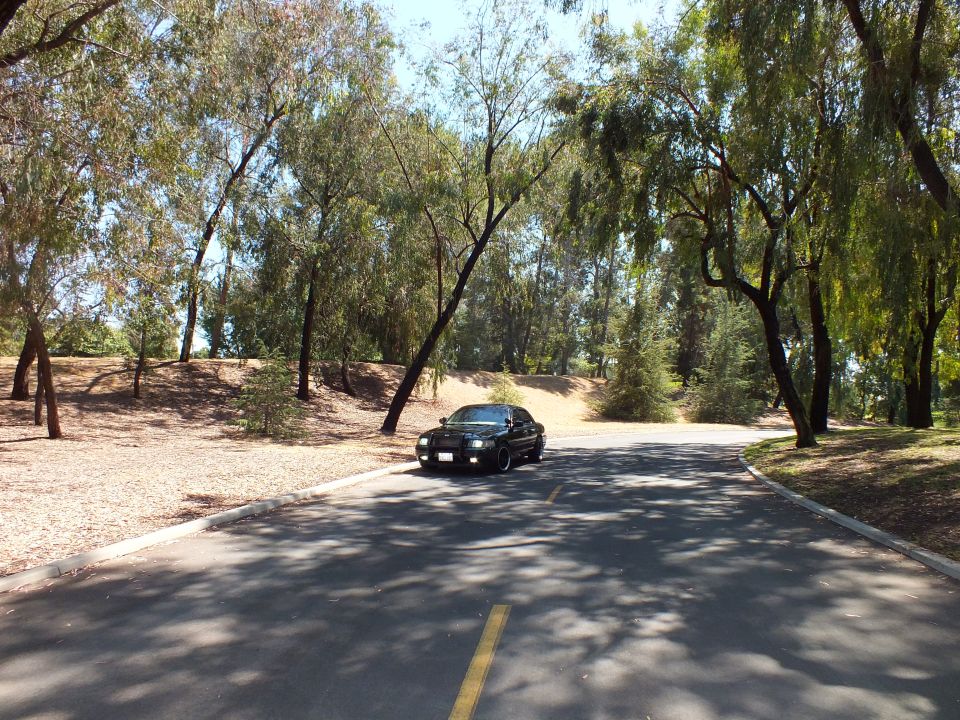 Black full-size sedan on a wide tree-shaded road with dirt hillsides