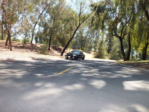 2003 Ford Crown Victoria - Front view of a black sedan stopped on a tree-lined road in a dry park