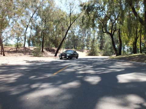 2003 Ford Crown Victoria - Black full-size sedan parked head-on at a bend in a tree-shaded park road